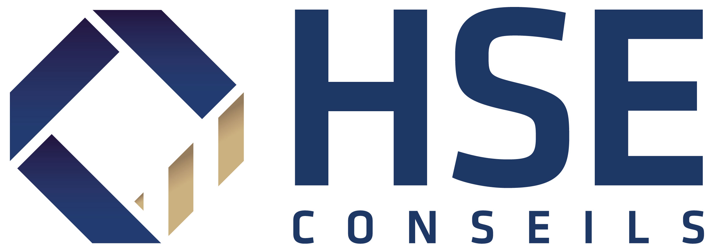 Logo HSE